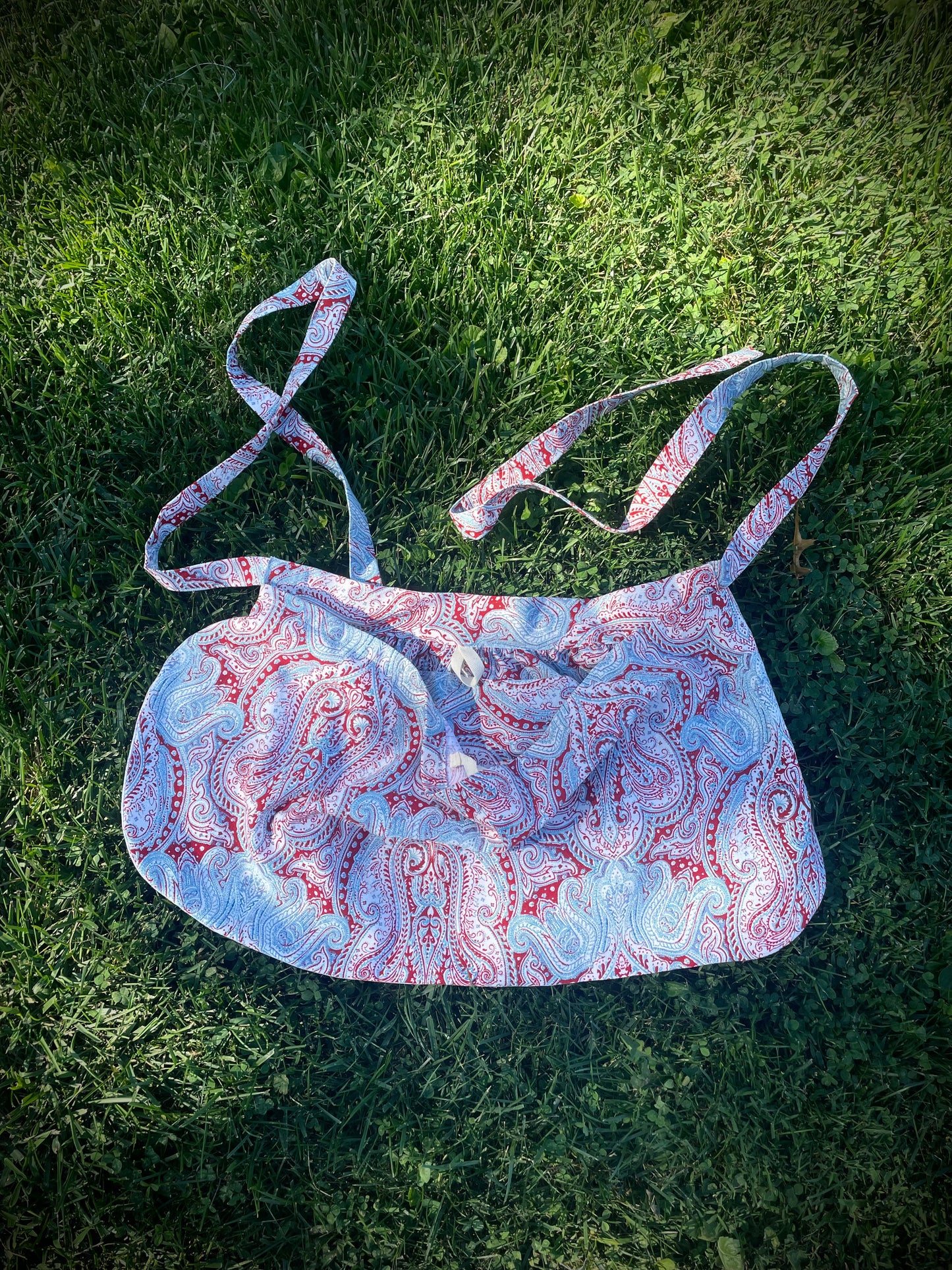 Aliza Garden - Paisley Red Med