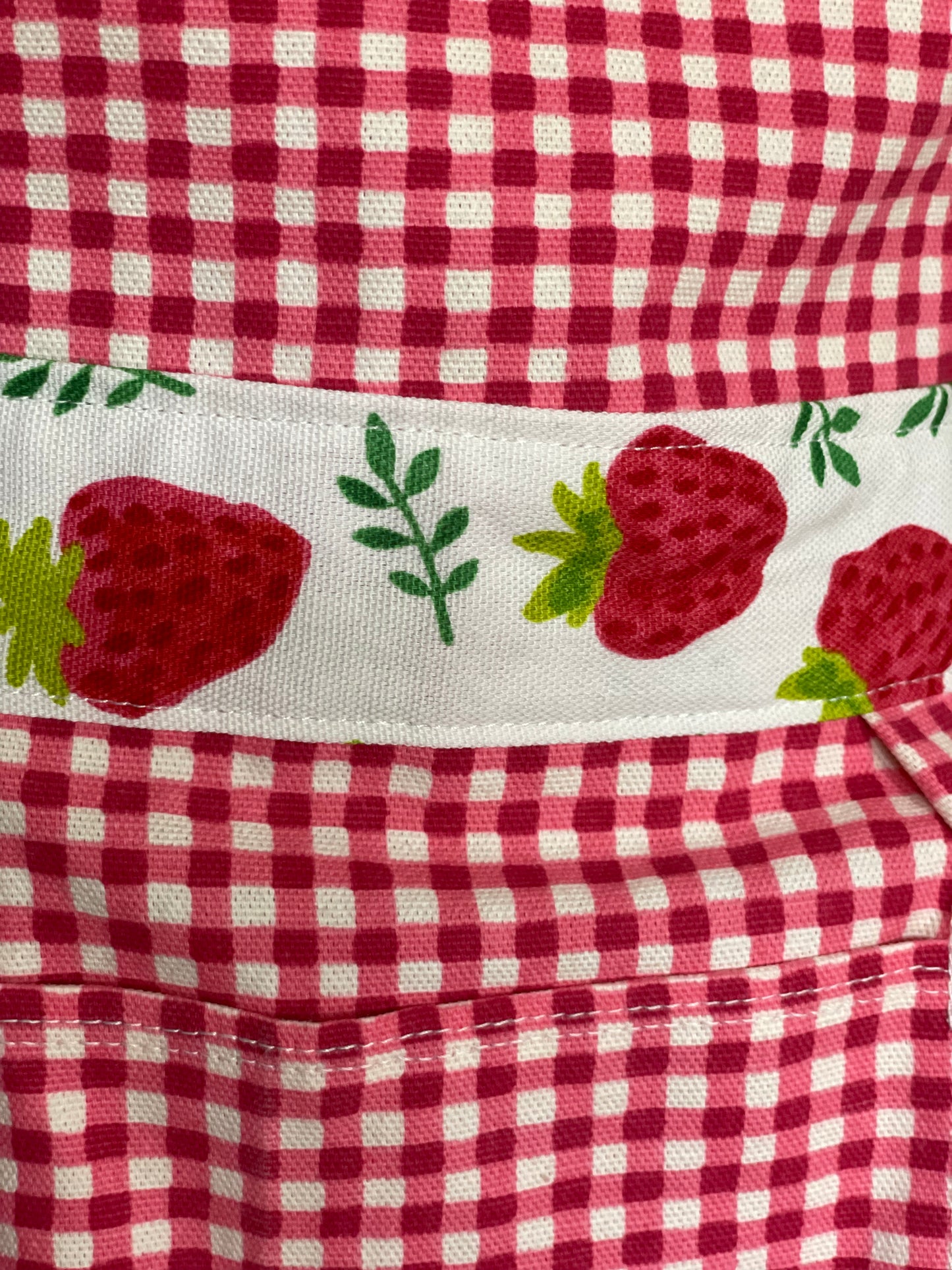 Cecilia - Strawberry on Gingham Fuchsia